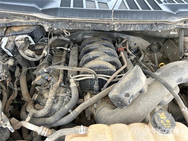 Ford F-150 XLT 4x4 Crew Cab Pickup 其他