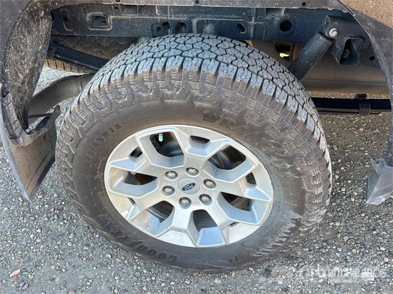 Ford F-150 XLT 4x4 Crew Cab Pickup Furgoni altro