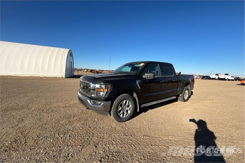 Ford F-150 XLT 4x4 Crew Cab Pickup Furgoni altro