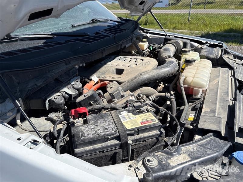 Ford F-150 XLT 4x4 Crew Cab Pickup Otros