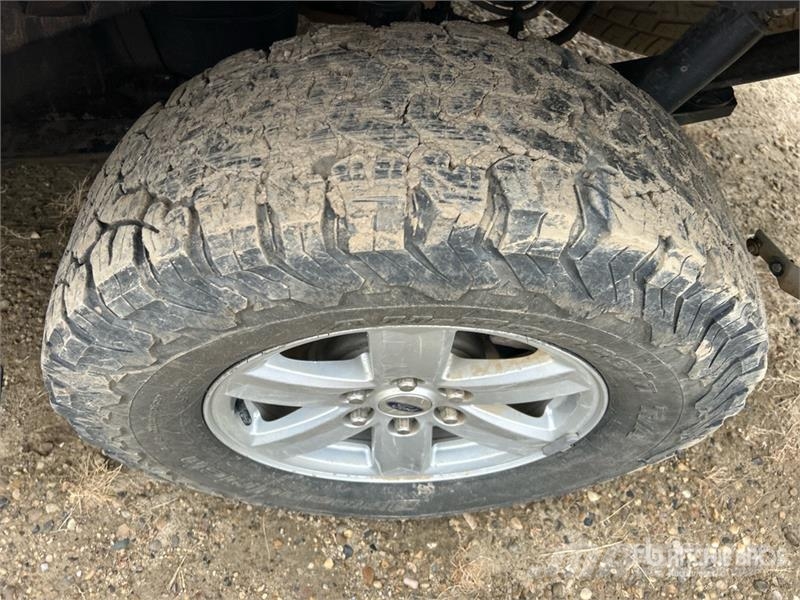 Ford F-150 XLT 4x4 Crew Cab Pickup 其他