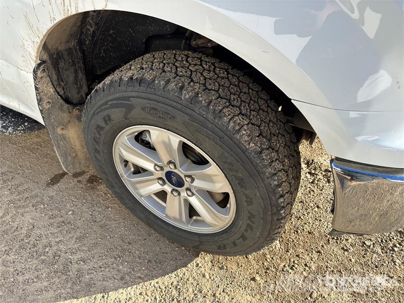 Ford F-150 XLT 4x4 Crew Cab Pickup 其他