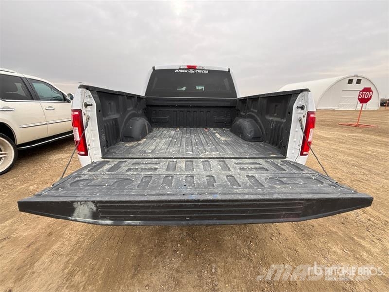 Ford F-150 XLT 4x4 Crew Cab Pickup أخرى