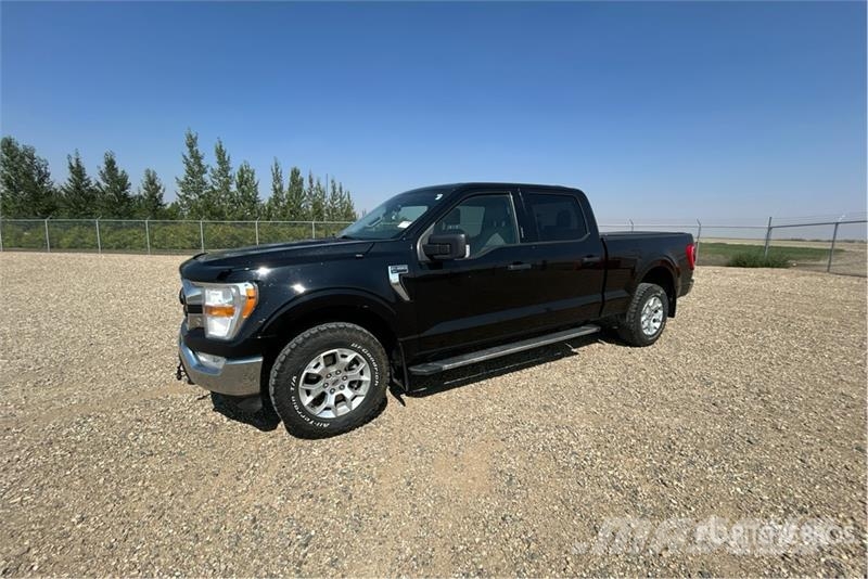 Ford F-150 XLT 4x4 Crew Cab Pickup Ostalo