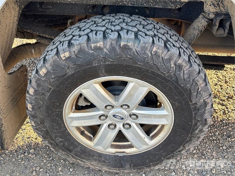 Ford F-150 XLT 4x4 Crew Cab Pickup Furgoni altro