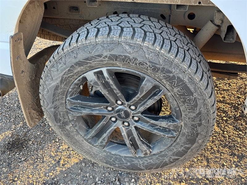 Ford F-150 XLT 4x4 Crew Cab Pickup أخرى