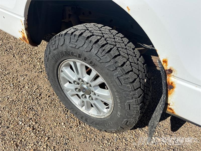 Ford F-150 XLT 4x4 Crew Cab Pickup Andere Transporter
