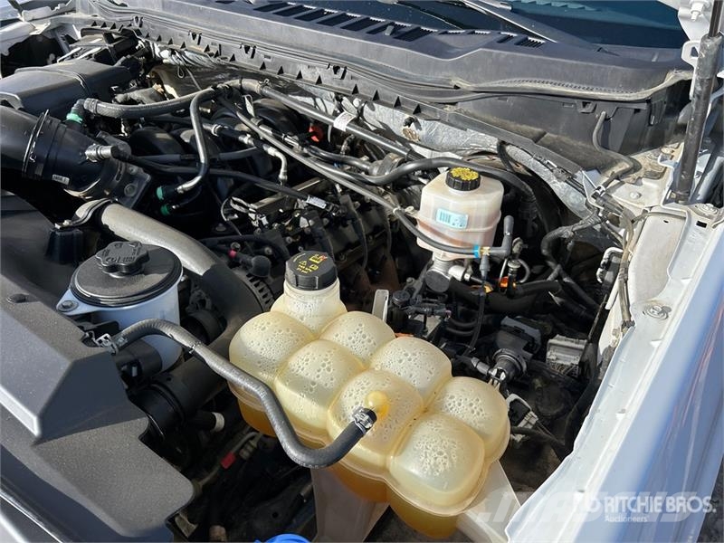 Ford F-250 XLT 4x4 Crew Cab Pickup أخرى