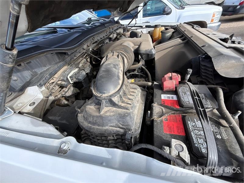 Ford F-250 XLT 4x4 Crew Cab Pickup 其他
