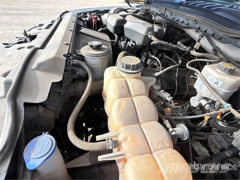 Ford F-250 XLT 4x4 Crew Cab Pickup 其他