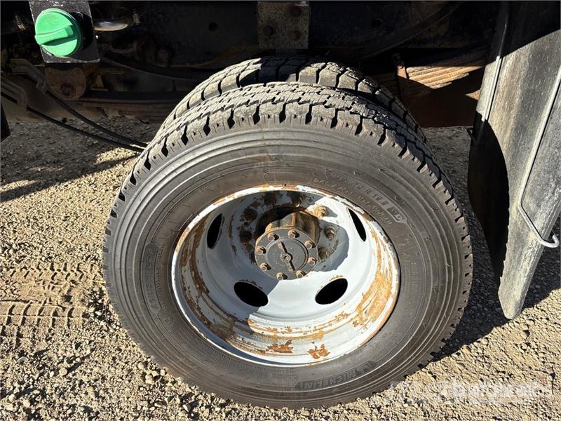 Ford F-550 Ciężarówki typu Platforma / Skrzynia