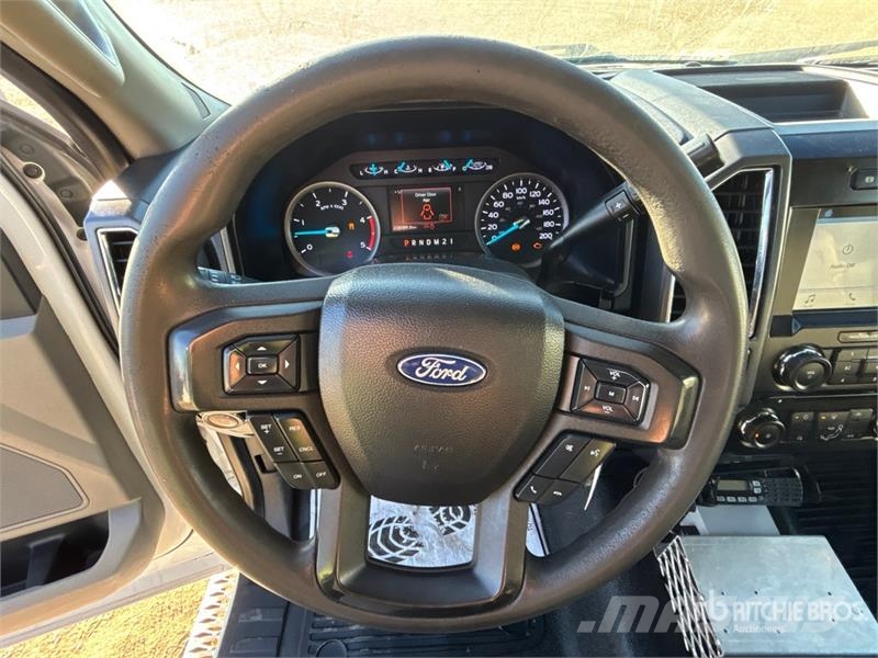 Ford F-550 Ciężarówki typu Platforma / Skrzynia