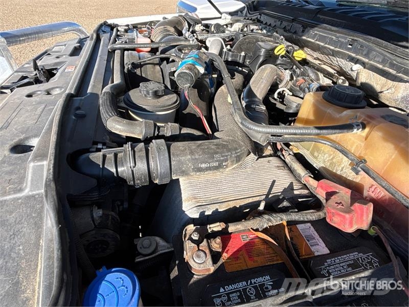 Ford F-550 Ciężarówki typu Platforma / Skrzynia