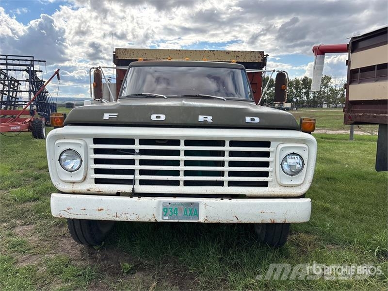 Ford F600 4x2 Grain Truck Autocarro agricolo / grano