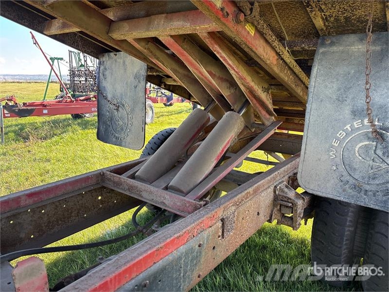 Ford F600 4x2 Grain Truck Autocarro agricolo / grano