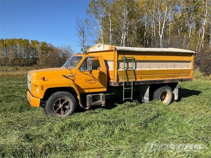 Ford F600 4x2 Grain Truck Camiones para granja y transporte de granos