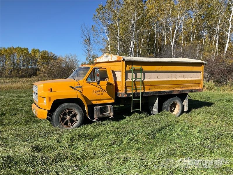 Ford F600 4x2 Grain Truck Camiones para granja y transporte de granos