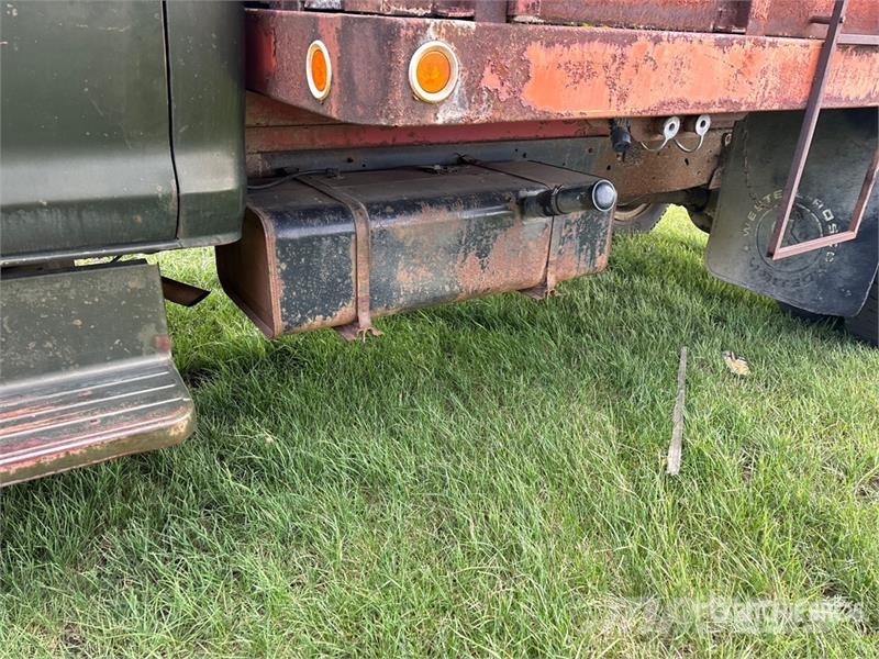 Ford F600 4x2 Grain Truck Autocarro agricolo / grano