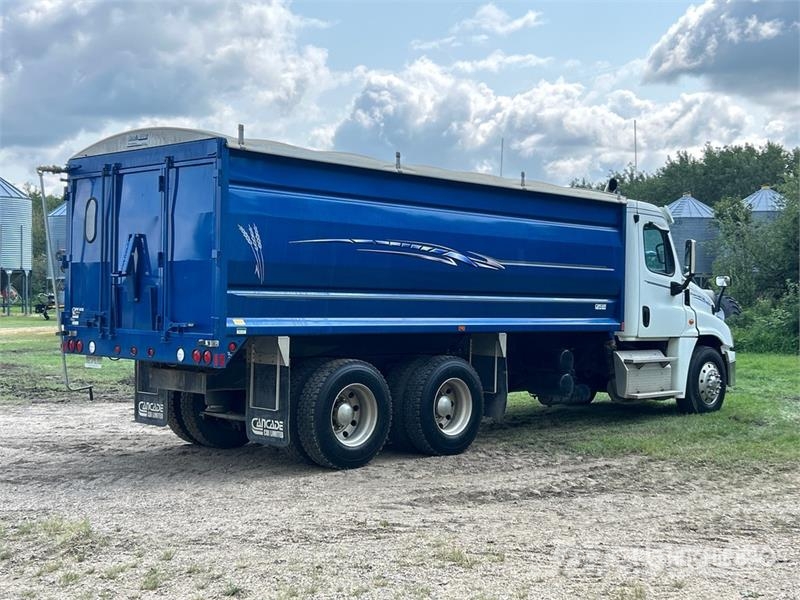 Freightliner 6x4 T/A Grain Truck شاحنات المزارع / الحبوب
