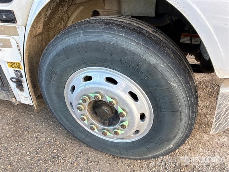 Freightliner B2 Minibusser