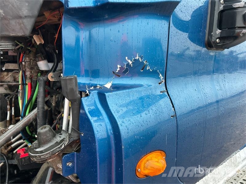 Freightliner Cascadia 125 6x4 T/A Sleeper Truck Tractor Motrici e Trattori Stradali
