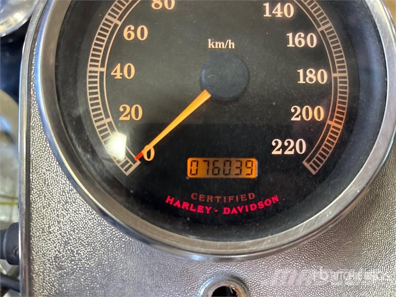 Harley-Davidson Road King Sport Touring Bike Personbiler