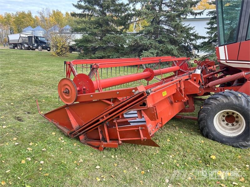 Hesston 6450 18 ft Swather Windrower محشات