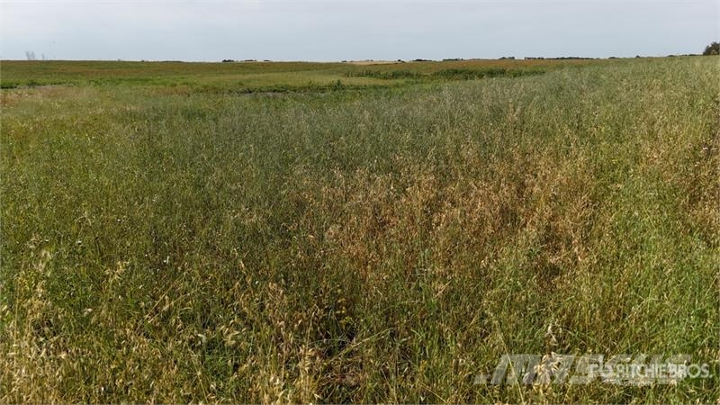 Holden AB NE 4-50-16-W4 160 +/- Acres on Title Farmland Sonstige Landmaschinen