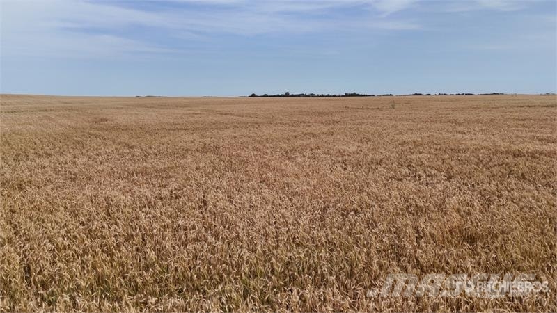 Holden AB NW 4-50-16-W4 160 +/- Acres on Title Farmland Sonstige Landmaschinen