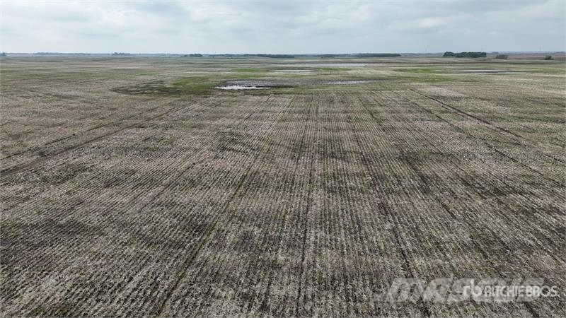 Holden AB NW 4-50-16-W4 160 +/- Acres on Title Farmland Lantbruk - Övrigt