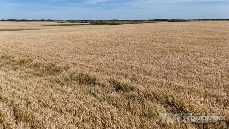 Holden AB SE 4-50-16-W4 159 +/- Acres on Title Farmland Sonstige Landmaschinen