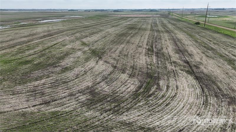 Holden AB SW 4-50-16-W4 159 +/- Acres on Title Farmland Lantbruk - Övrigt