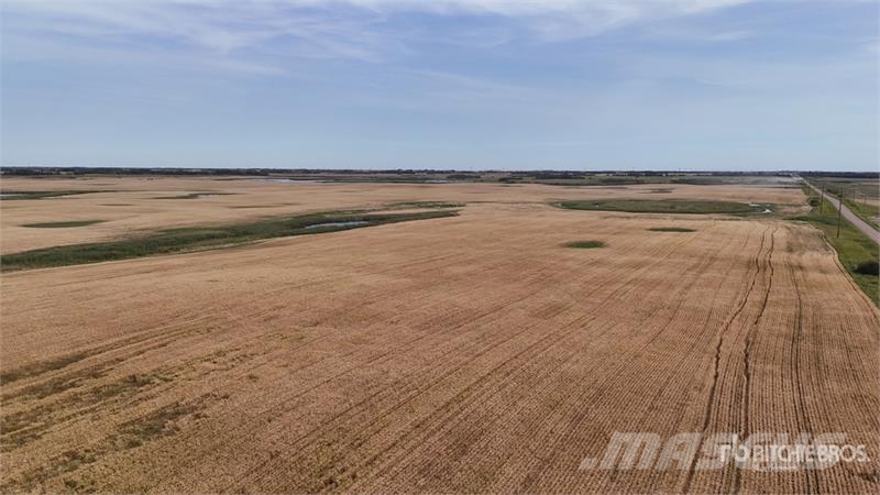 Holden AB SW 4-50-16-W4 159 +/- Acres on Title Farmland Sonstige Landmaschinen