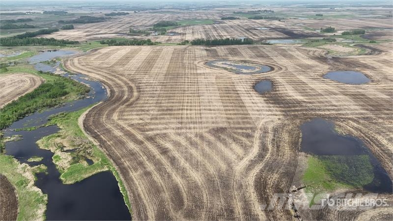 Holden AB SW 9-50-16-W4 160 +/- Acres on Title Farmland Lantbruk - Övrigt