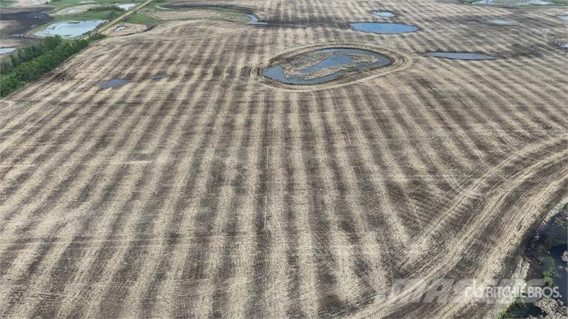 Holden AB SW 9-50-16-W4 160 +/- Acres on Title Farmland Lantbruk - Övrigt