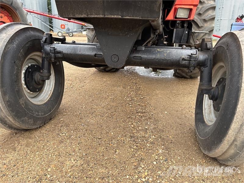 International 3688 2WD Tractor الجرارات