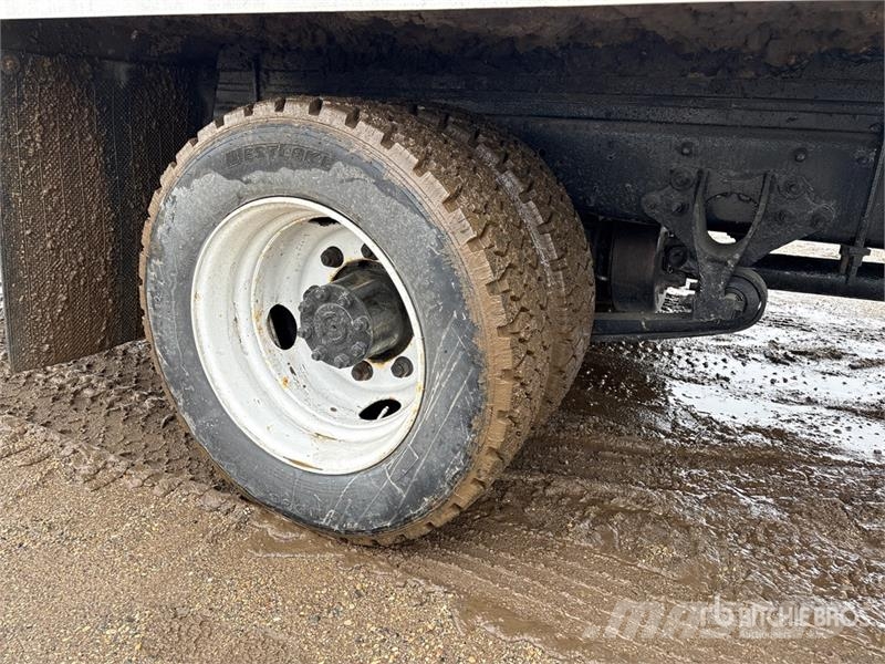 International 4300 Camion a temperatura controllata