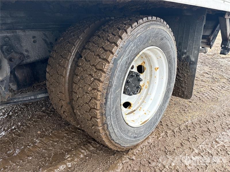 International 4300 SBA Camion a temperatura controllata