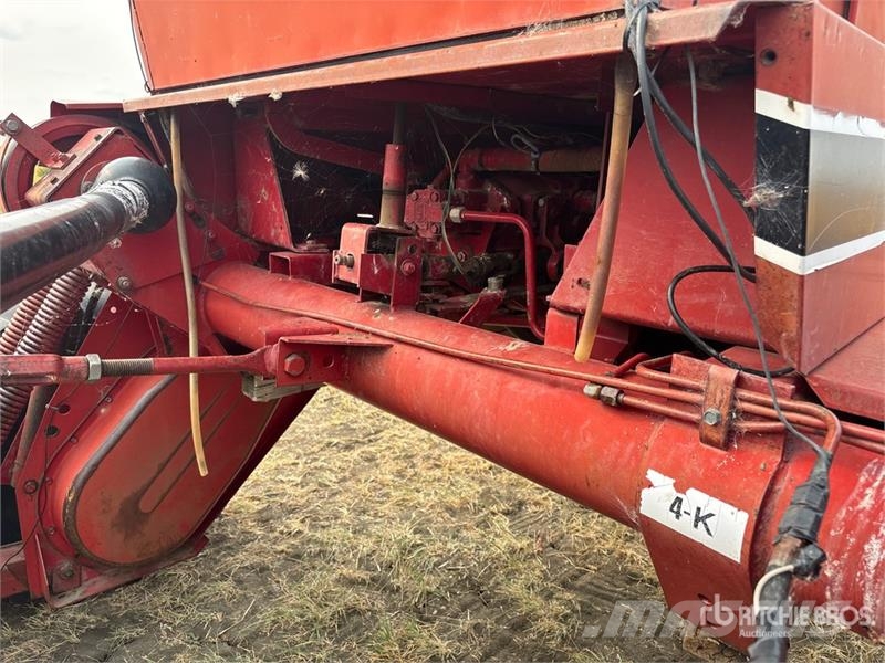 International 5000 Swather Windrower Segadoras hileradoras