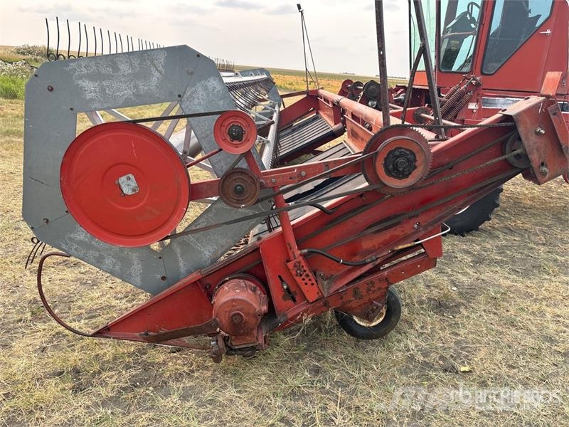 International 5000 Swather Windrower Segadoras hileradoras