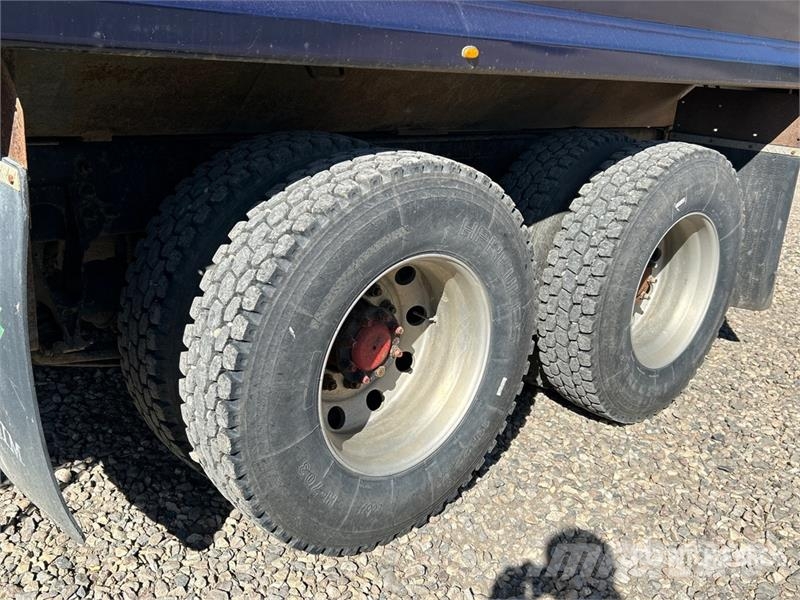 International 9400i Eagle 6x4 Grain Truck Camiones para granja y transporte de granos