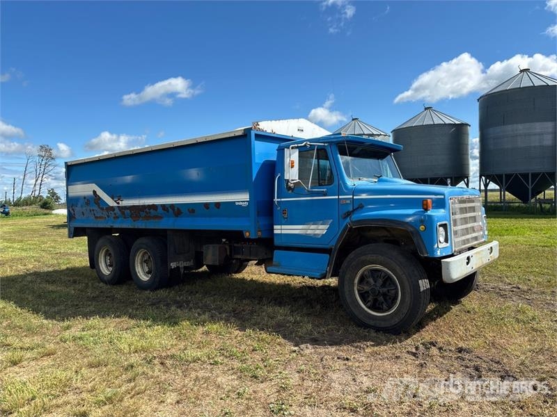 International F1954 6x4 Grain Truck Gabonaszállító teherautók