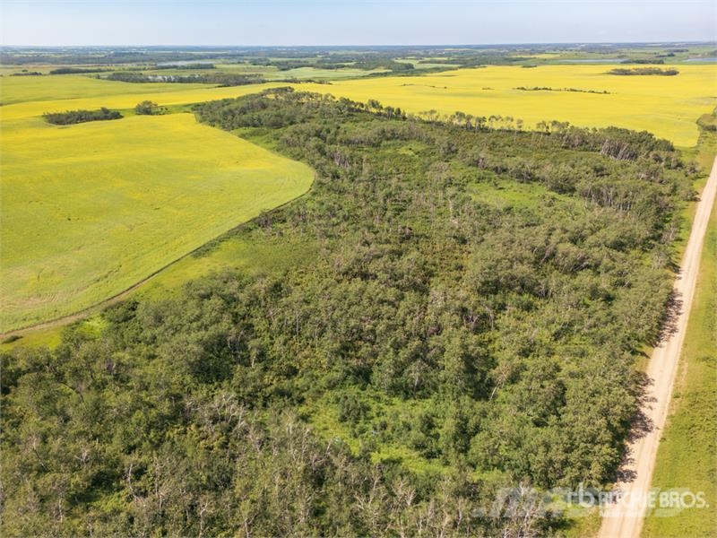 Leask, SK NE 06-47-04-W3 156.06 +/- Acres on Title Další