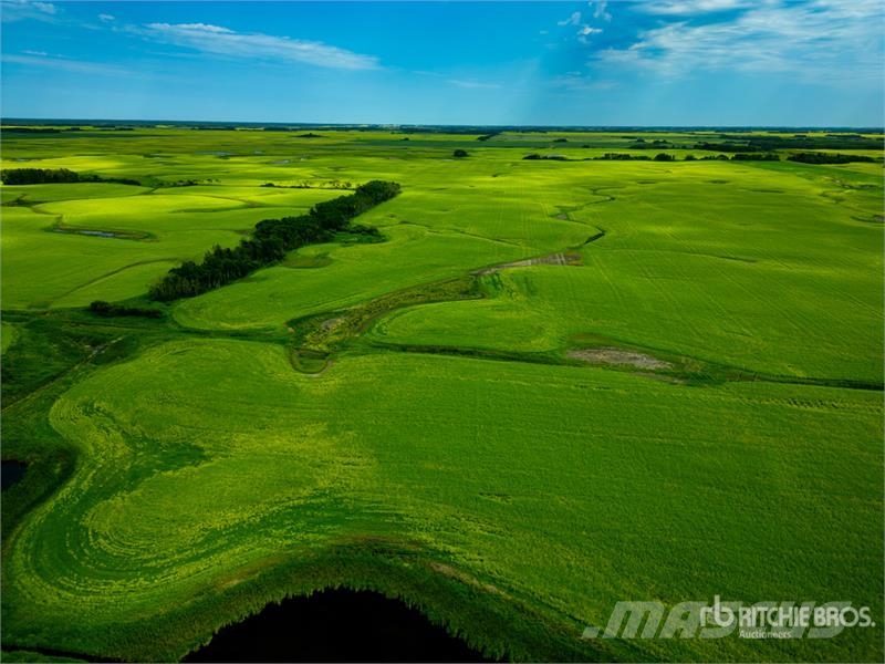 Melfort, SK SW 29-47-19-W2 158.37 +/- Acres on Tit Další