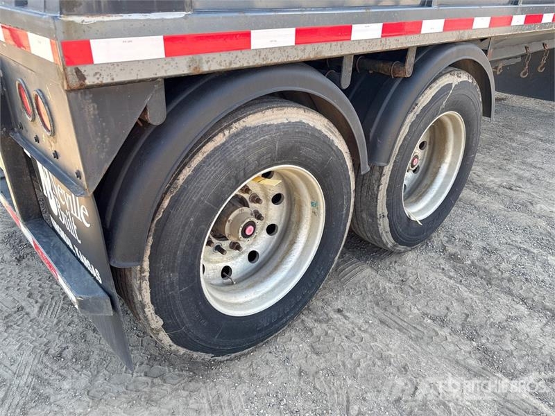Neville 28 ft T/A Grain Trailer Carri per la granella