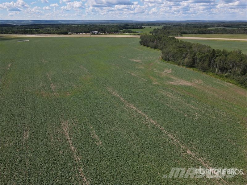  Peace River, AB NW 10-85-20-W5 133.62 +/- Acres on Agricoltura - Altro