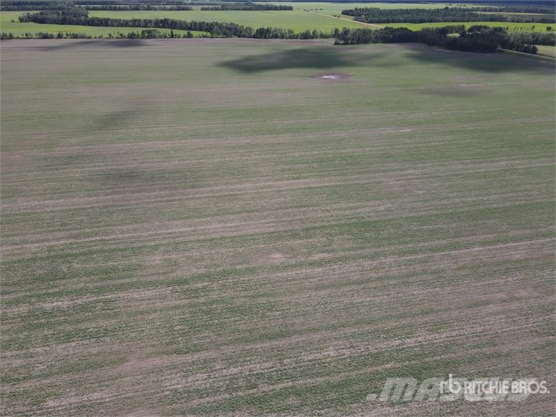  Peace River, AB NW 11-85-20-W5 154.54 +/- Acres on Agricoltura - Altro