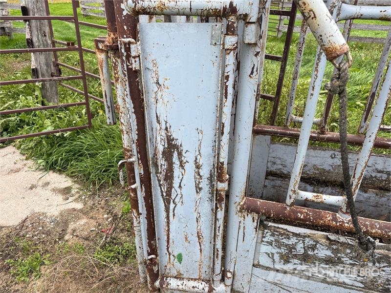 Pearson Livestock Cattle Shute Muud põllumajandusmasinad