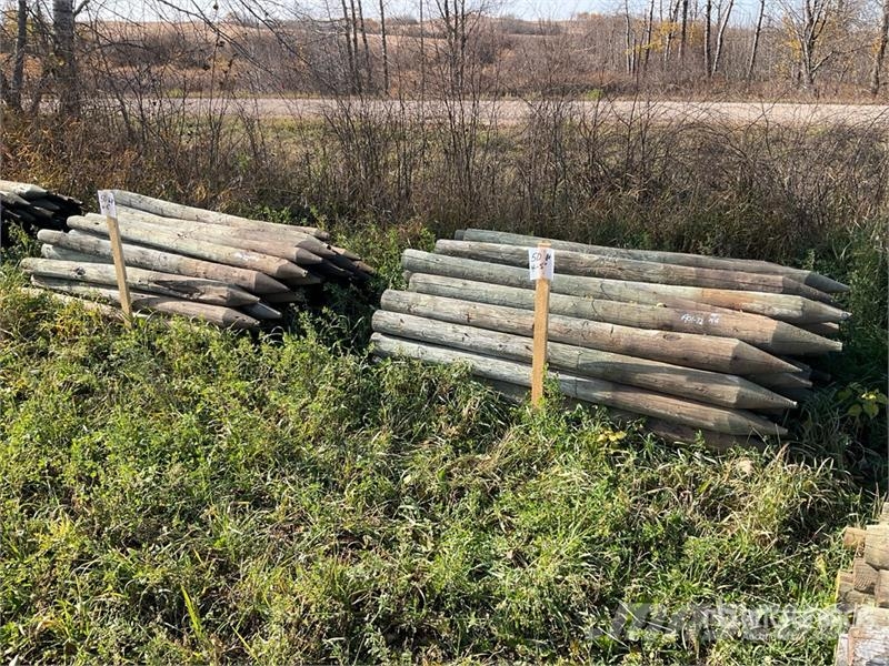  Quantity of (100) 6 ft Fence Posts ماكينات وملحقات مواش أخرى