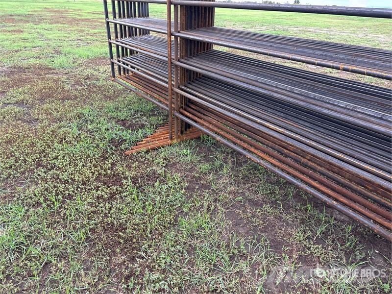 Quantity of (11) Livestock Panel Ďalšie stroje a zariadenia pre živočíšnu výrobu